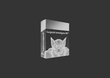 GARGOYLE INVESTIGATOR