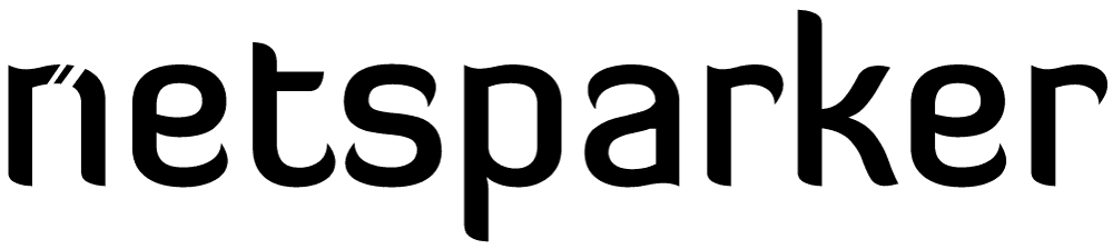 Invicti Security NetSparker